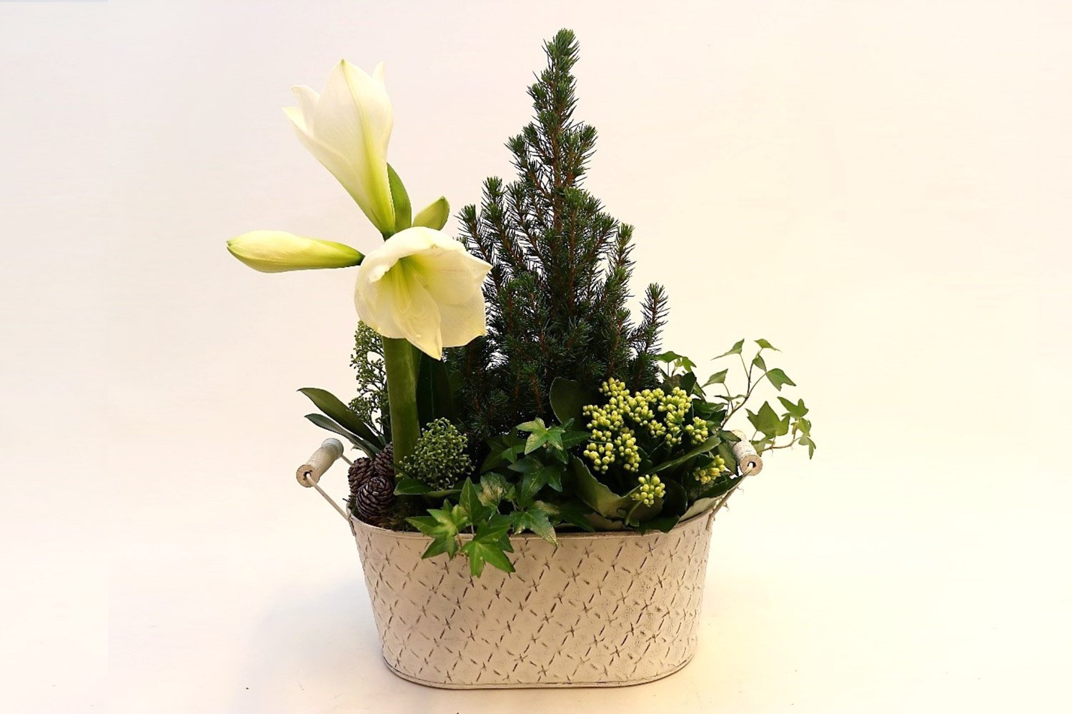 Jouluistutus toiveidesi mukaan