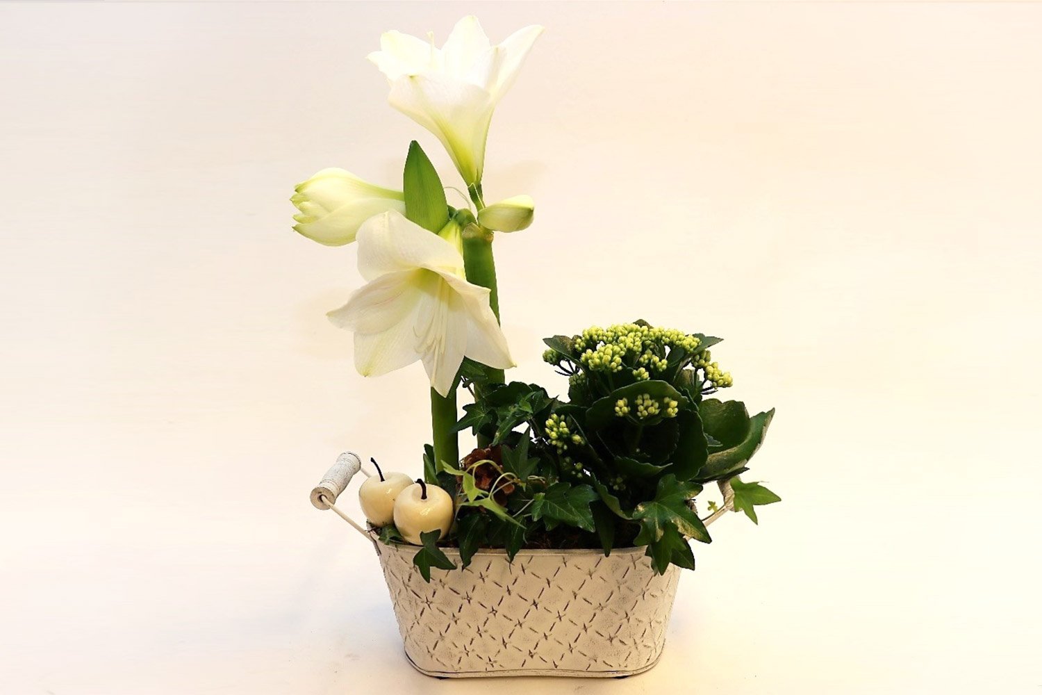 Jouluistutus toiveidesi mukaan