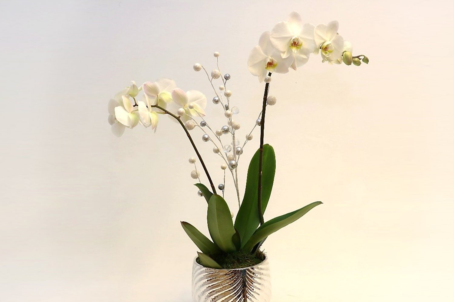 Moderni joulutervehdys