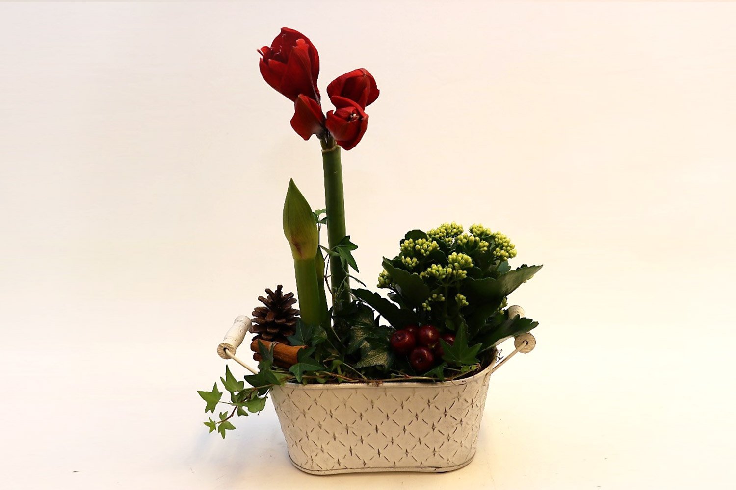 Jouluistutus toiveidesi mukaan